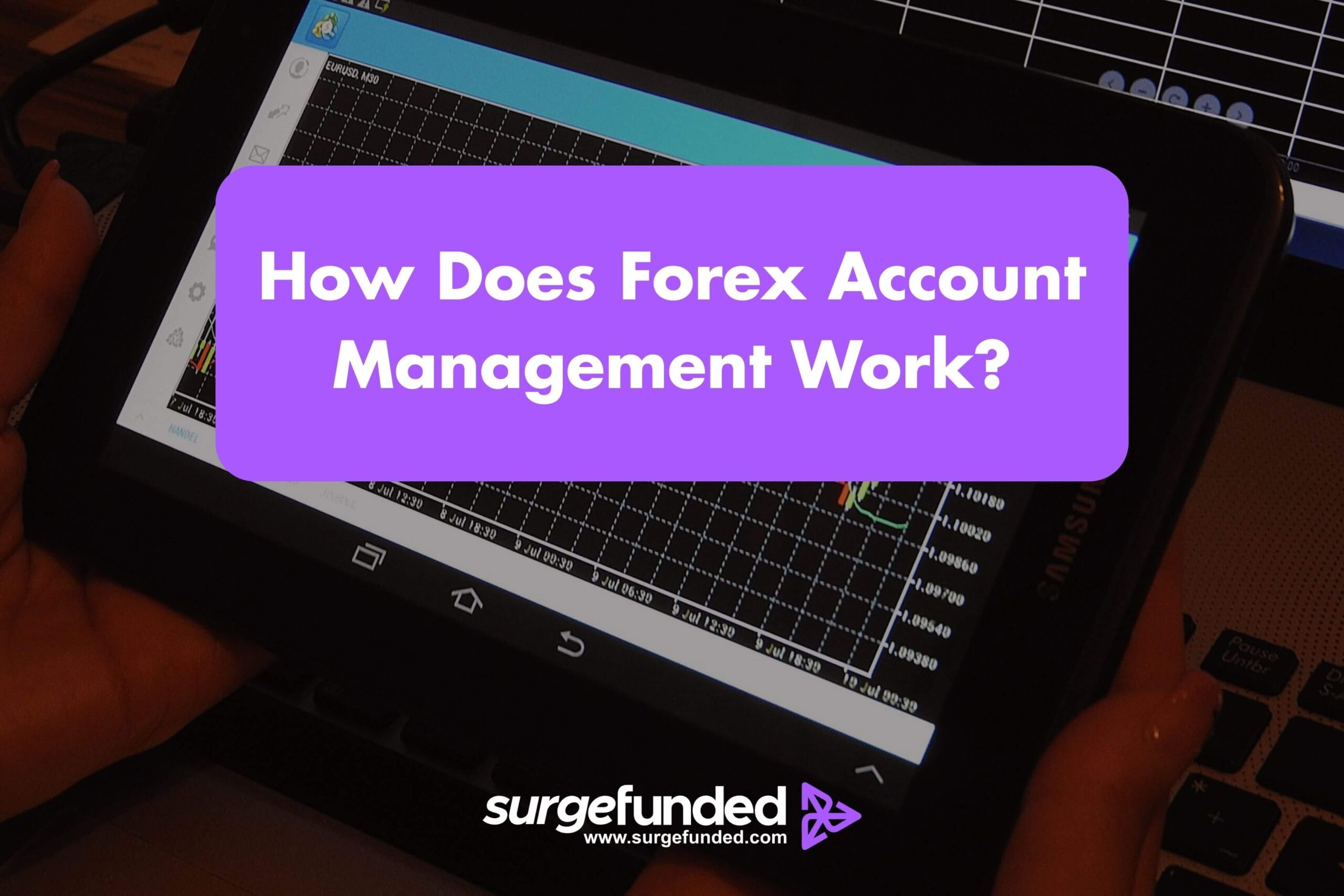 How Does Forex Account Management Work? 2026 Guide